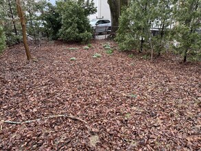 28 Montfern Ave, Unit 1 in Boston, MA - Building Photo - Building Photo