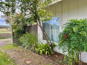 6181 Wise Rd in Newcastle, CA - Building Photo - Building Photo