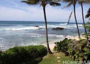 61-313-313 Kamehameha Hwy in Haleiwa, HI - Building Photo - Building Photo