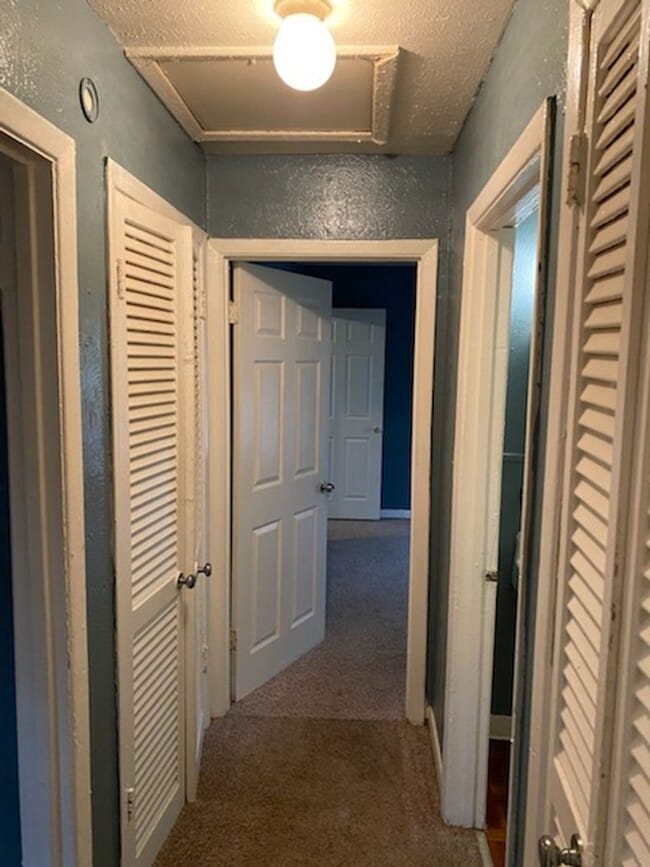 3615 Reese Dr in Dallas, TX - Building Photo - Building Photo