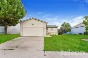 6625 Bear Tooth Dr in Colorado Springs, CO - Building Photo