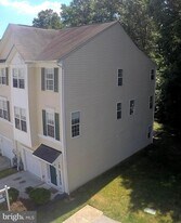 623 Trout Run Ct in Odenton, MD - Building Photo