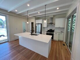 65 Cameron St, Unit 1 in Brookline, MA - Building Photo