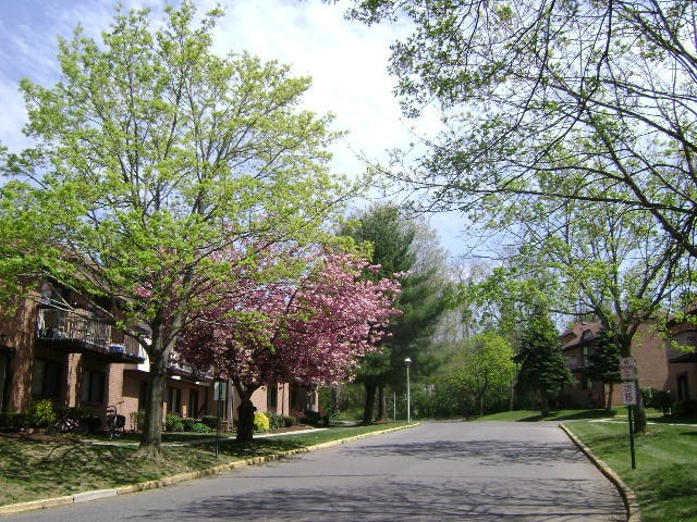 KNOLLWOOD GARDENS/ NO PETS ALLOWED in Middletown, NJ - Foto de edificio