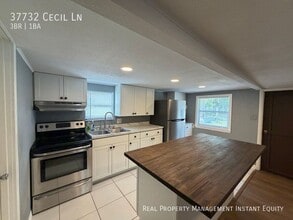 37732 Cecil Ln in Zephyrhills, FL - Building Photo - Building Photo