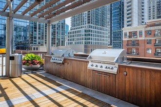 One Superior Place in Chicago, IL - Foto de edificio - Building Photo