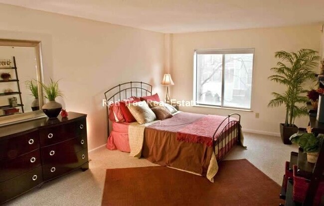 345 Franklin St, Unit 205 in Cambridge, MA - Building Photo - Building Photo