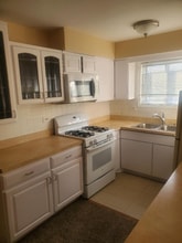 1107 Washington Blvd in Oak Park, IL - Foto de edificio - Building Photo