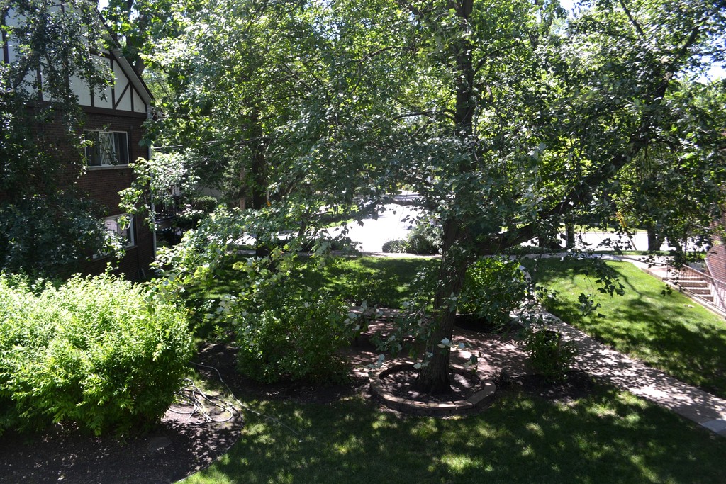 Des Plaines Apartments Des Plaines, IL Apartments For Rent