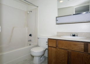 Trinity Place in Midland, TX - Building Photo - Building Photo