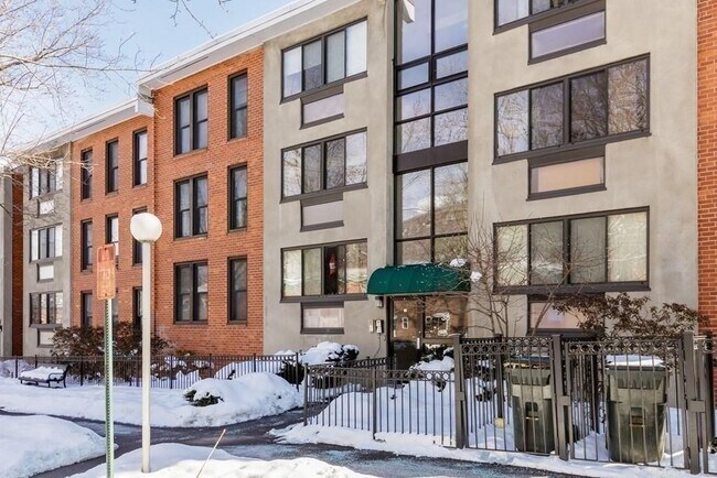 32 Juniper St, Unit #1 in Brookline, MA - Building Photo - Building Photo