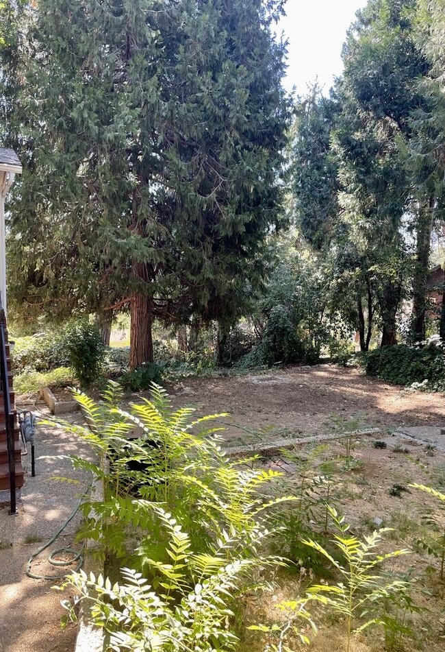 309 Columbia Ave in Grass Valley, CA - Building Photo - Building Photo