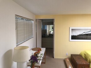 345 Amalfi Dr, Unit Studio in Santa Monica, CA - Building Photo - Building Photo