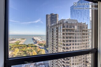 445 E Ohio St in Chicago, IL - Building Photo - Building Photo