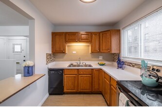 243 Custer Ave in Evanston, IL - Building Photo - Building Photo