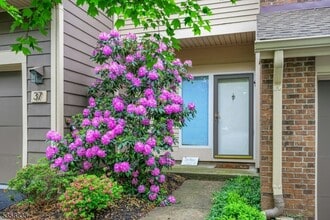 37 Chelsea Ct in Madison, NJ - Building Photo - Building Photo