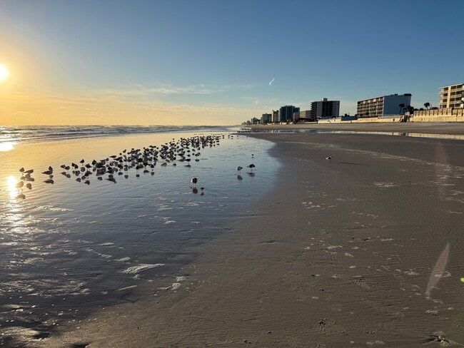 1224 S Peninsula Dr, Unit 408 in Daytona Beach, FL - Foto de edificio - Building Photo