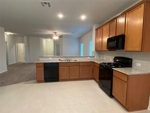1120 Whippletree Trl in Georgetown, TX - Building Photo - Building Photo