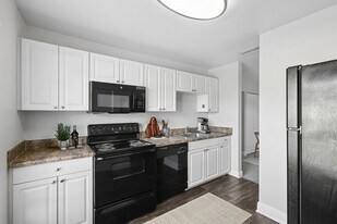 Belara Lakes in Tampa, FL - Building Photo