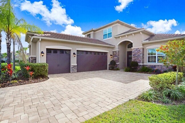 30758 Chesapeake Bay Dr in Wesley Chapel, FL - Building Photo - Building Photo
