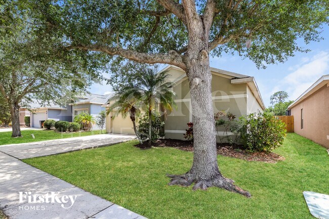 734 Star Pointe Dr in Seffner, FL - Building Photo - Building Photo