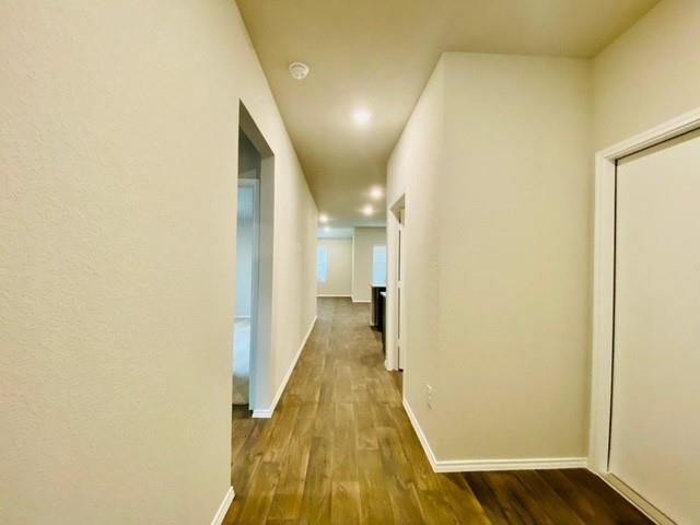 15113 Siberian Elm Ln in Austin, TX - Building Photo - Building Photo