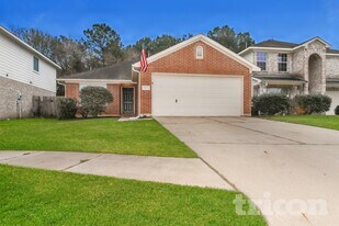 24118 Skywing Ct in Spring, TX - Building Photo