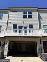 315 Willis St in Fredericksburg, VA - Building Photo