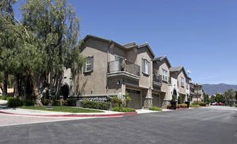 Brighton at Terra Vista Apartments