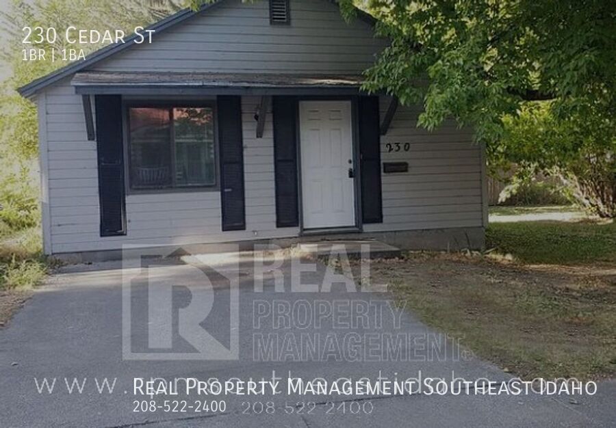 230 Cedar St in Idaho Falls, ID - Building Photo
