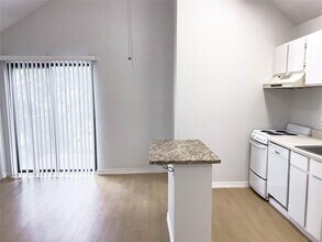 513 S Park Dr in Austin, TX - Building Photo - Building Photo