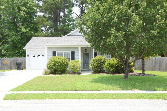property at 223 Olde Well Loop Rd