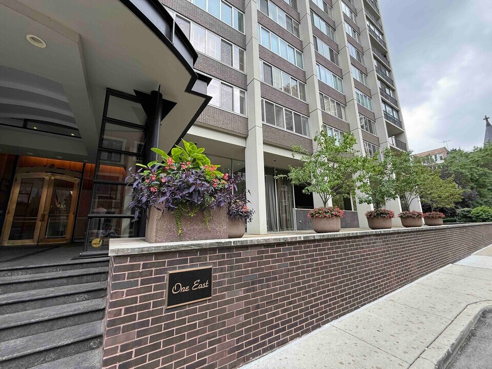 1 E Schiller St in Chicago, IL - Building Photo