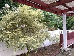 14717 Calvary Pl in Centreville, VA - Foto de edificio - Building Photo