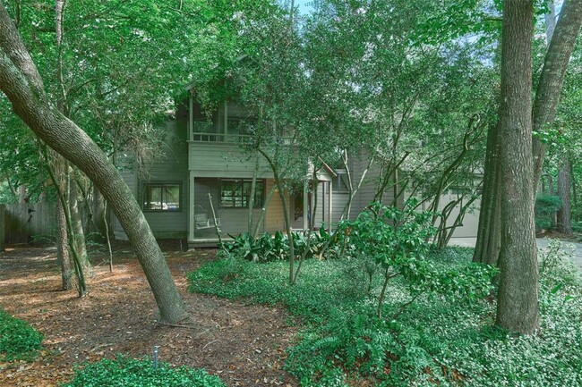 15 Song Sparrow Pl in Spring, TX - Foto de edificio - Building Photo