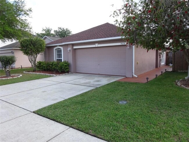 30238 Rattana Ct in Wesley Chapel, FL - Building Photo - Building Photo
