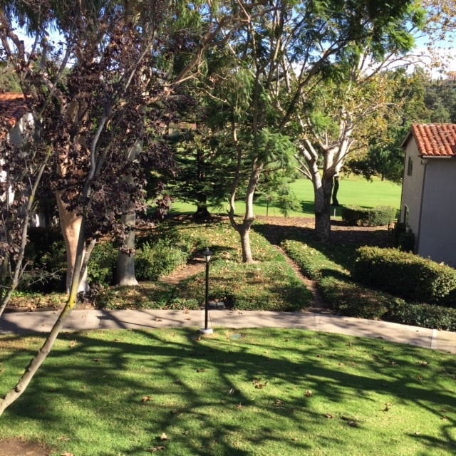 property at 31574 W Nine Dr