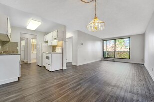 11675 Seventh Ave in Richmond, BC - Building Photo