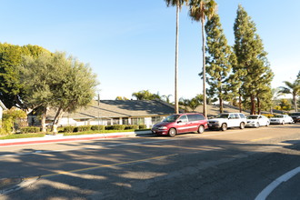 Grapevine Apartments in Vista, CA - Building Photo - Building Photo