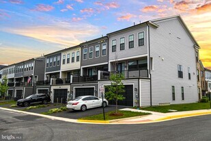 13825 Estuary Pl in Woodbridge, VA - Building Photo