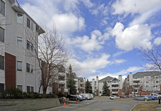 The Pavilions in Calgary, AB - Building Photo - Building Photo