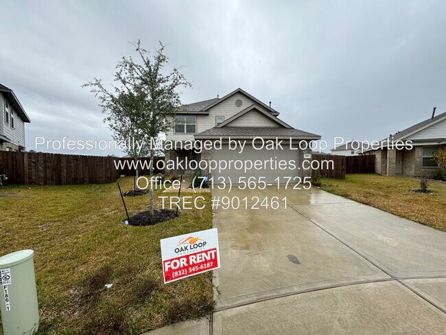 property at 186 Kelly St