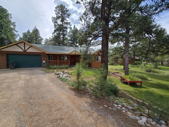 224 Capitan Cir in Pagosa Springs, CO - Foto de edificio - Building Photo