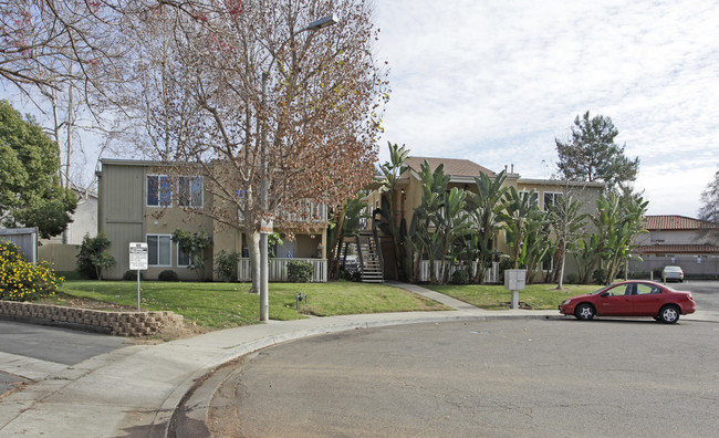 2561 White Oak Pl in Escondido, CA - Building Photo - Building Photo