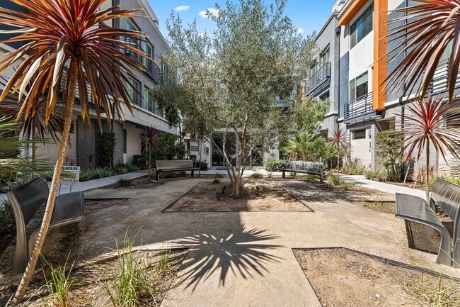 215 Elm Ave in Long Beach, CA - Foto de edificio - Building Photo