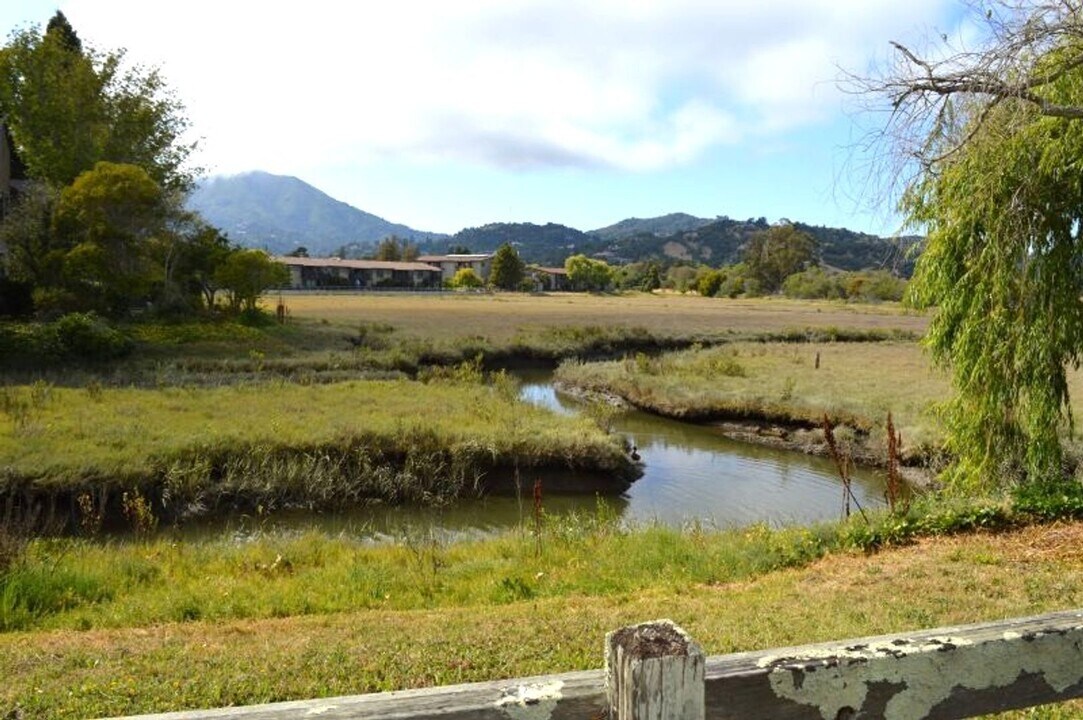 711 Miller Ave in Mill Valley, CA - Building Photo