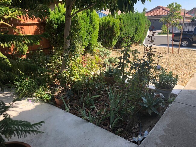 938 Lusk Dr in Woodland, CA - Building Photo - Building Photo