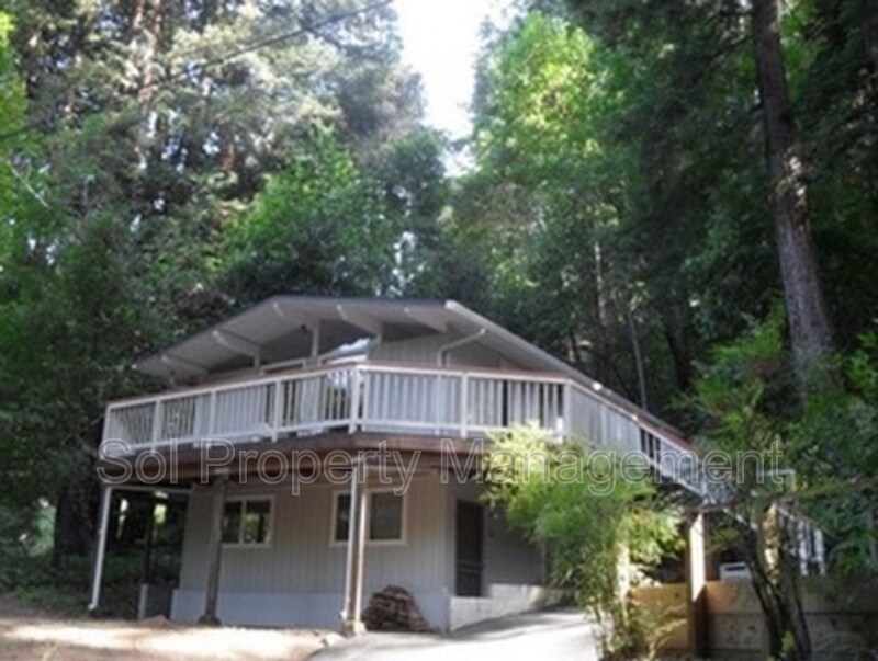 175 S Redwood Dr in Boulder Creek, CA - Building Photo
