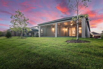 30950 Parrot Reef Ct in Wesley Chapel, FL - Building Photo - Building Photo