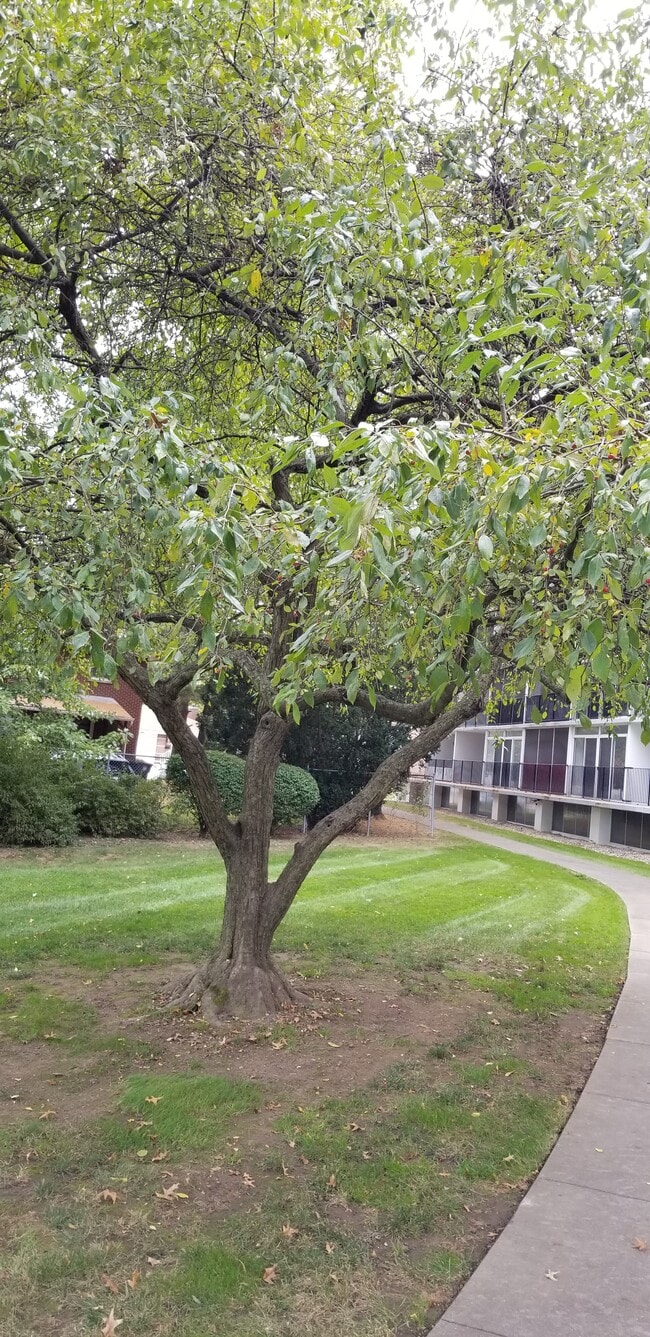2331 E Market St, Unit 226 in Akron, OH - Foto de edificio - Building Photo